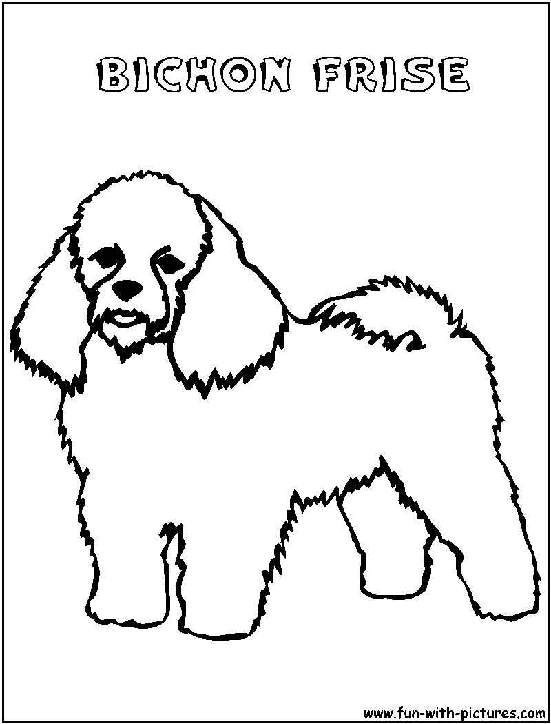 Bichonfrise Coloring Page 