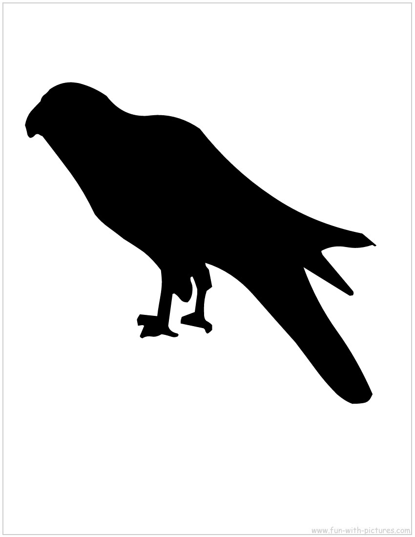 Kite Silhouette