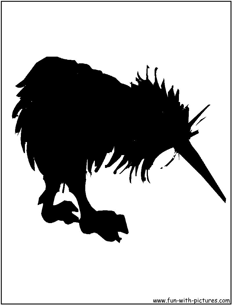 Kiwi Silhouette