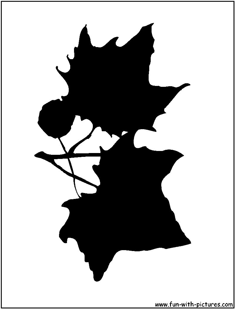 Maple Leaves Silhouette