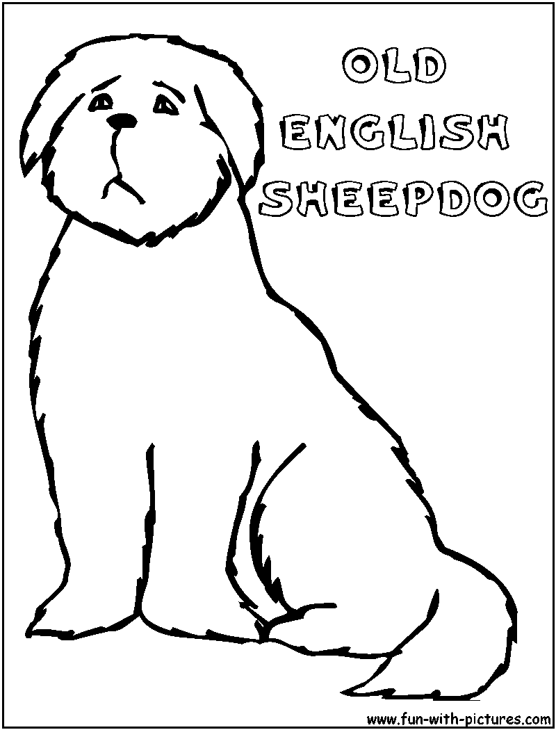 Oldenglishsheepdog Coloring Page 