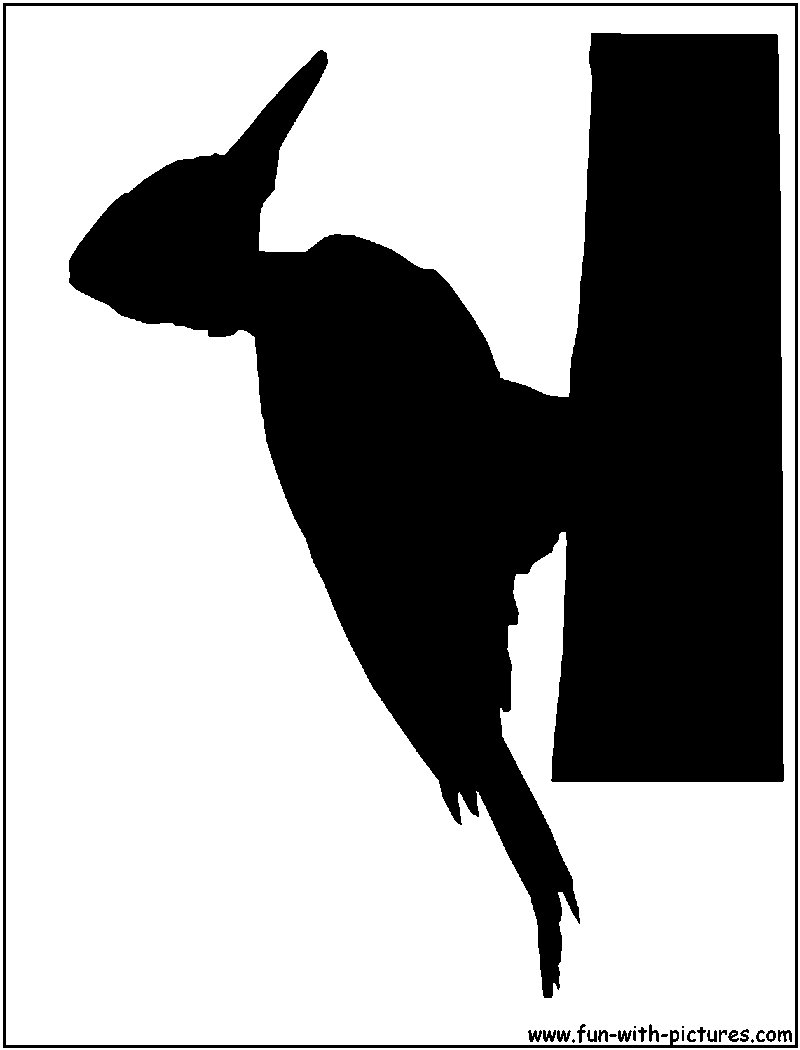 Orange Backed Woodpecker Silhouette