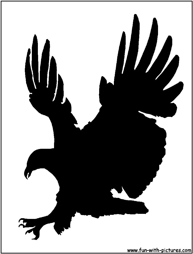 Raptor Silhouette