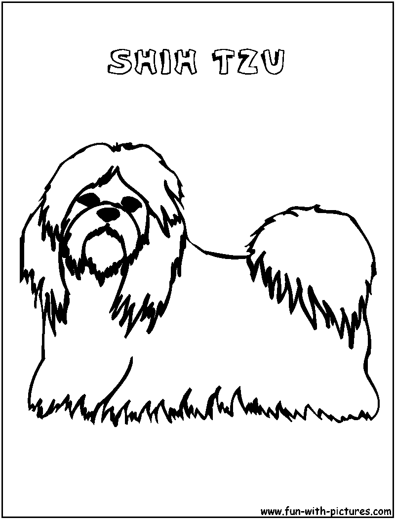 Shihtzu Coloring Page 