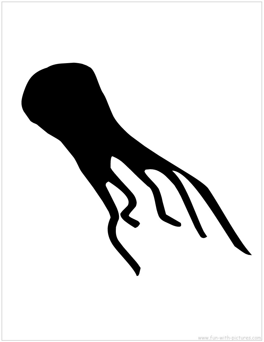 Squid Silhouette