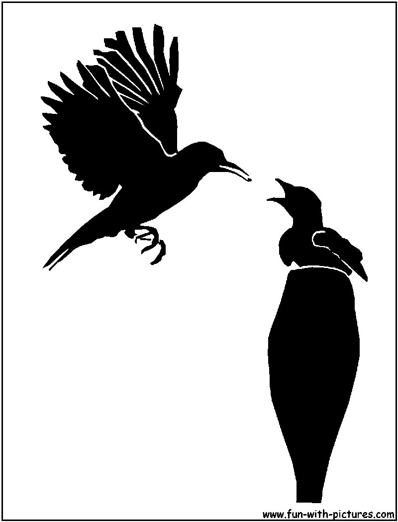 Sunbirds Silhouette