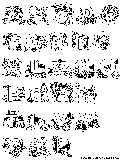 abcplay picture alphabets
