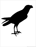 buzzard silhouette