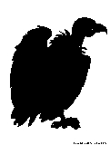 buzzard2 silhouette