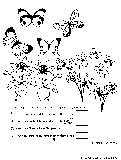 count butterflies