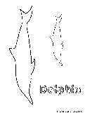 dolphin