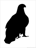 eagle silhouette