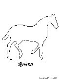 horse3