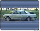 ika-torino-car