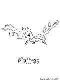 Moltres Coloring Page 