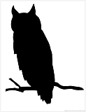 owl silhouette