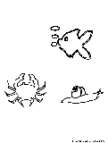 sealife2