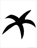 starfish silhouette