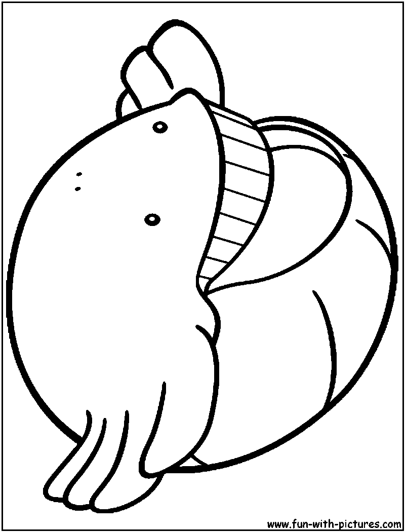 Wailmer Coloring Page 
