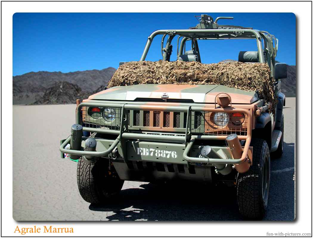 Agrale Marrua Car 
