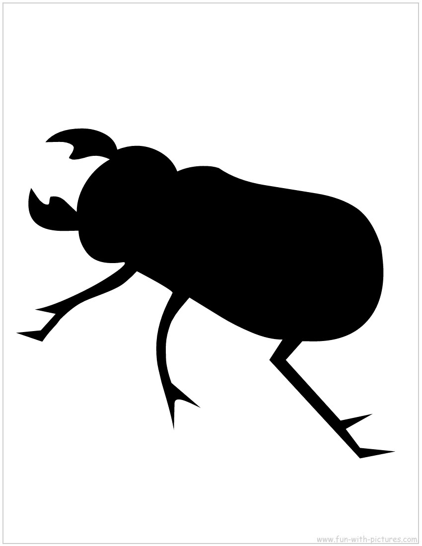 Beetle Silhouette