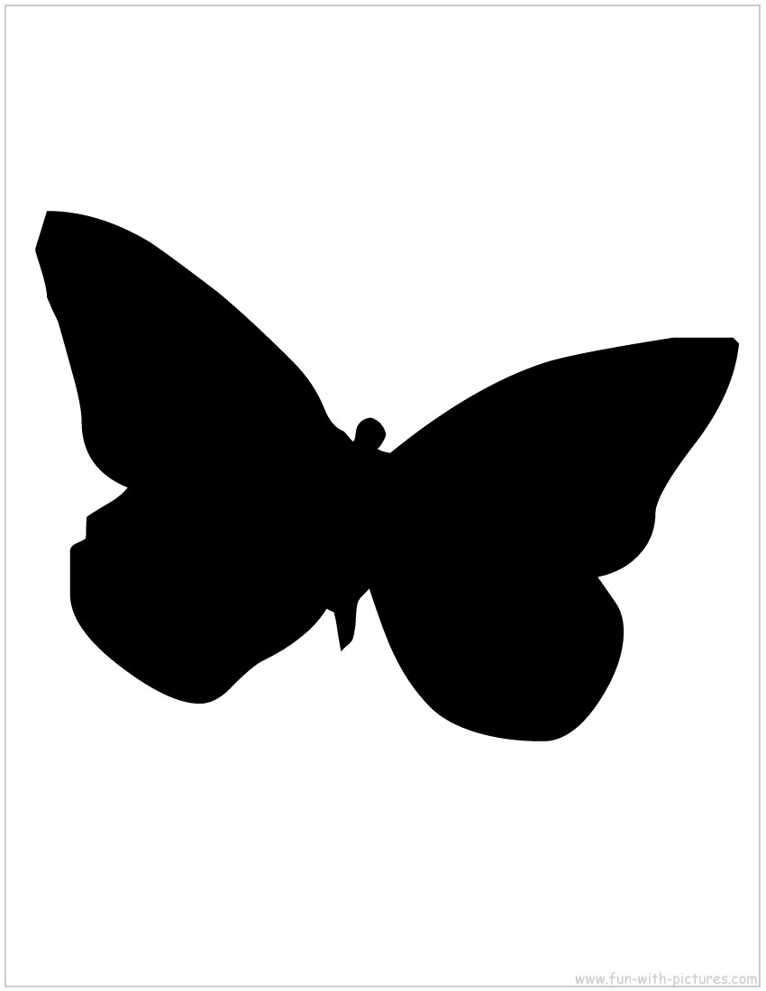 Butterfly Silhouette