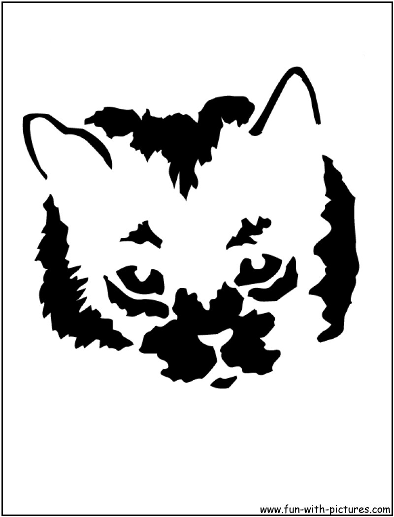 Catface Stencil