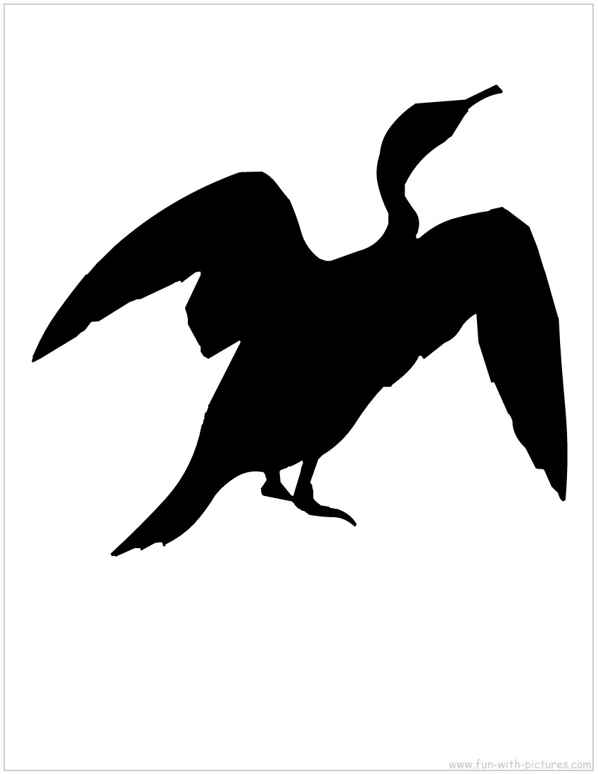 Cormorant Silhouette