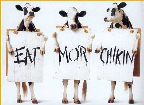 Eat More Chikin