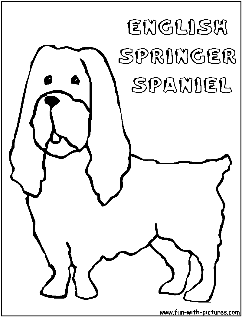 Englishspringerspaniel Coloring Page 