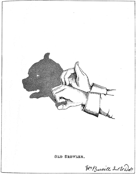 Hand Shadow Of Bulldog