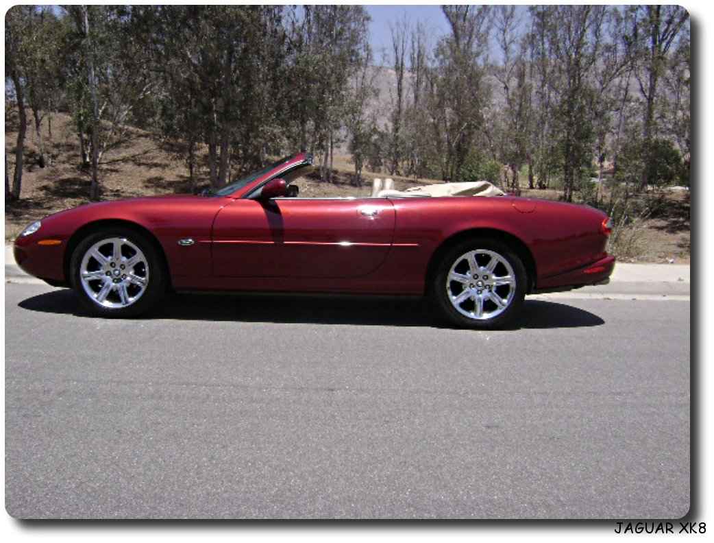 Jaguar Xk8 Car 