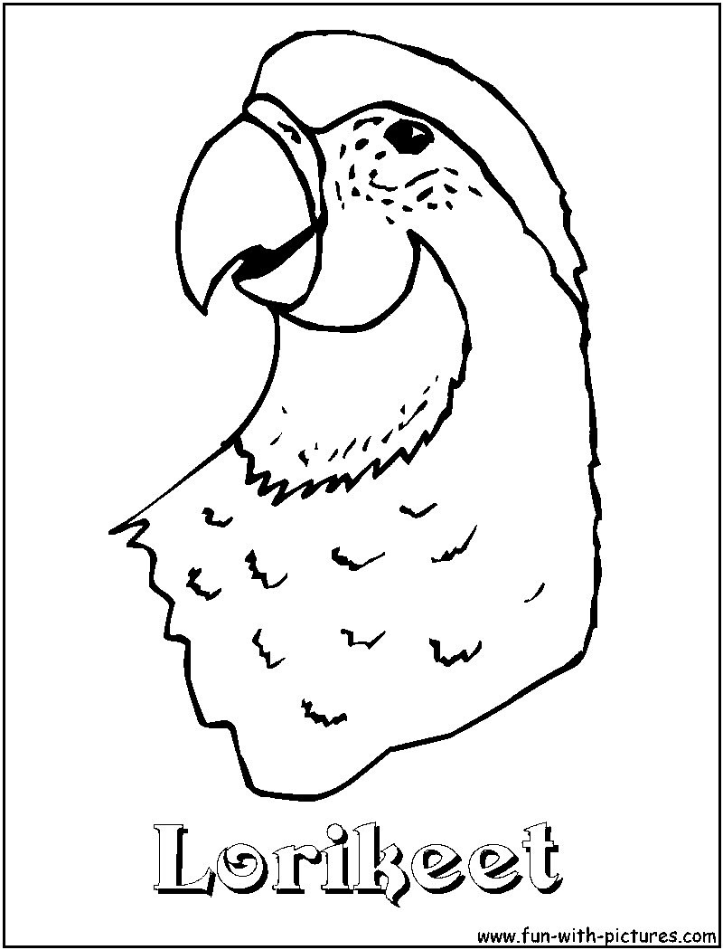 Lorikeet Coloring Page 