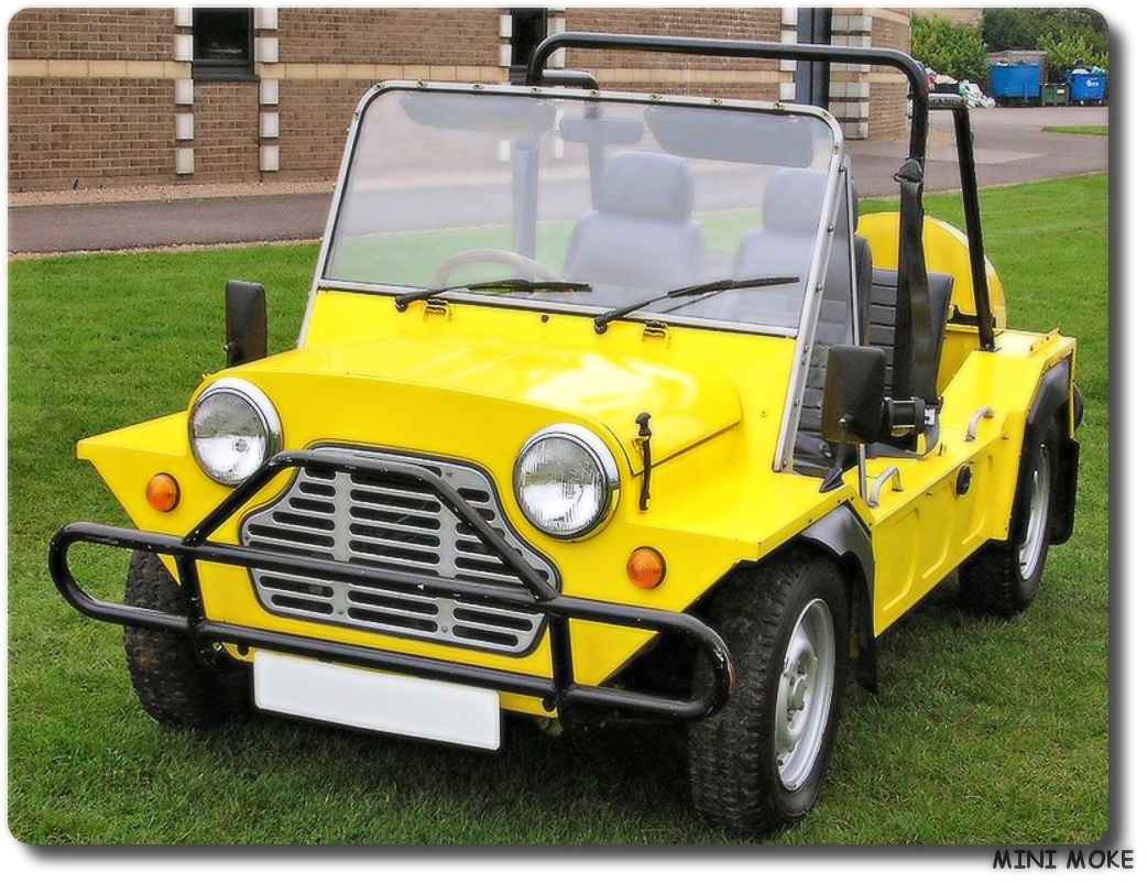 Mini Moke Car 