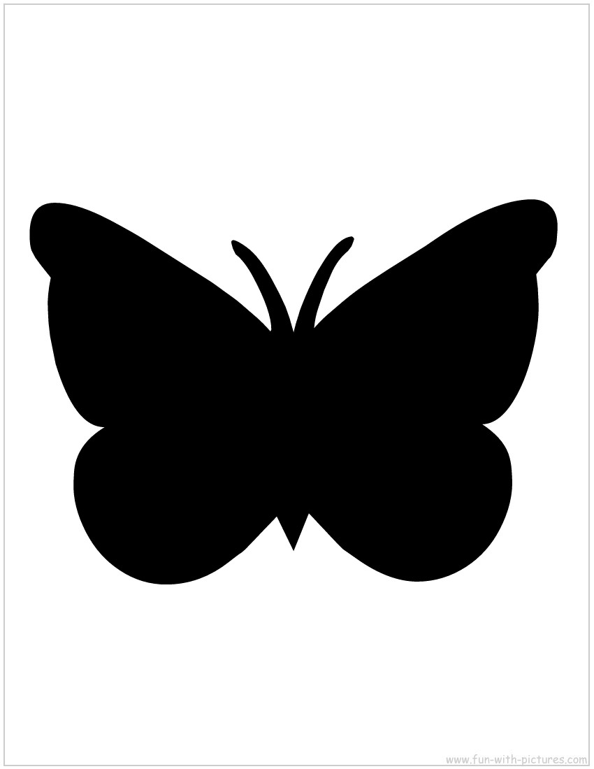 Moth Silhouette