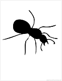 ant silhouette