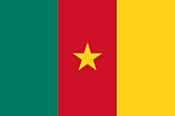 cameroon flag
