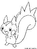 pachirisu