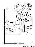 ponzi cactus
