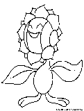 sunflora