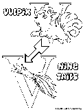 v vulpix ninetails