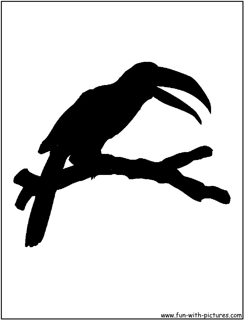 Toucan Silhouette