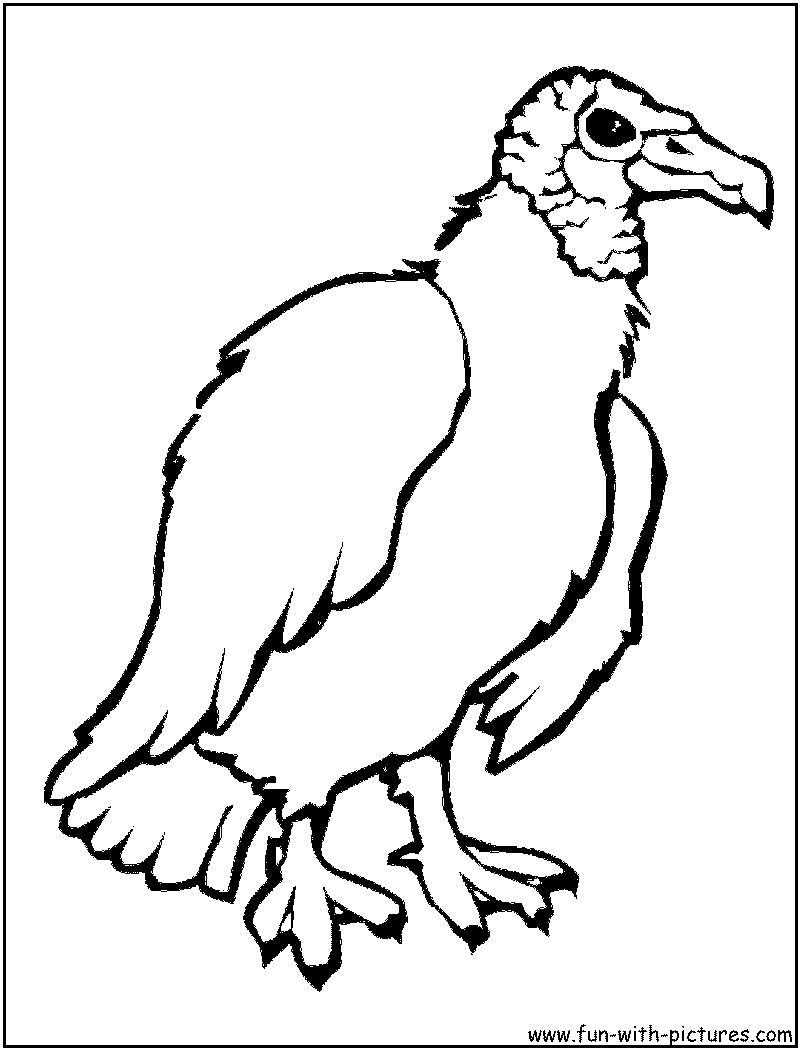 Vulture Coloring Page 